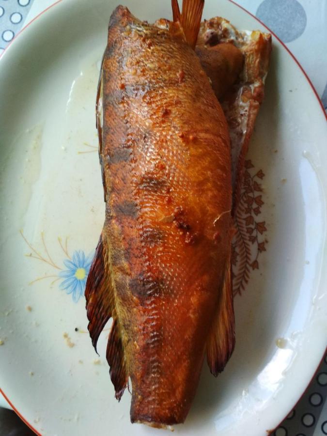 BohuslavДіво别墅 外观 照片